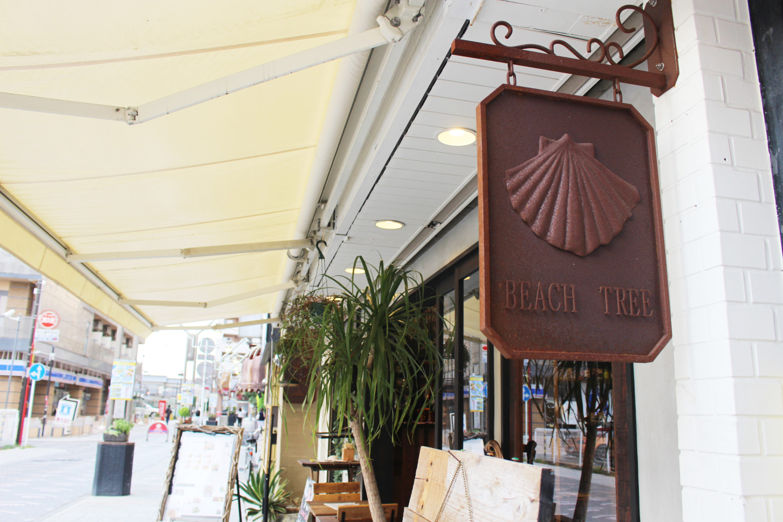 cafe beach tree（ビーチツリー）